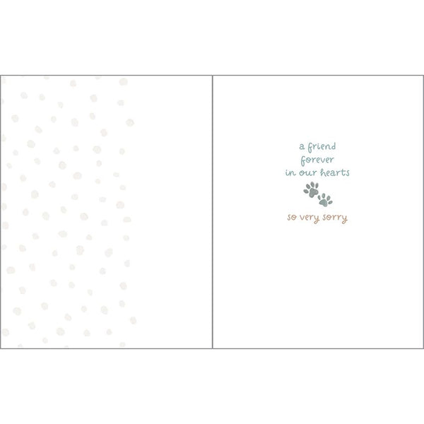 Sympathy card  - Pet Rainbow Bridge